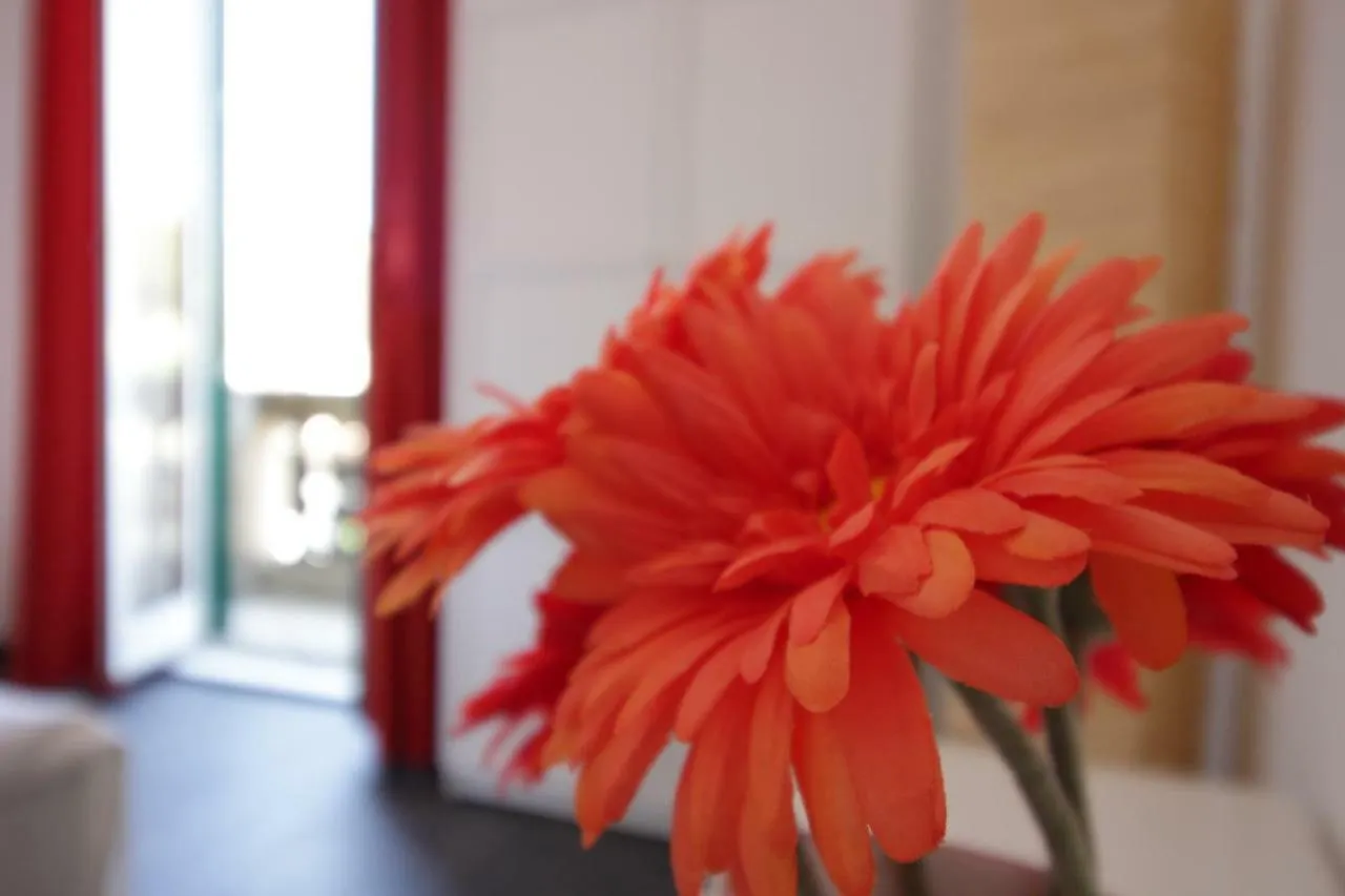 San Lorenzo Apartment Róma
